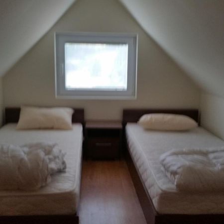 Villa Ducic ズラティボール 部屋 写真